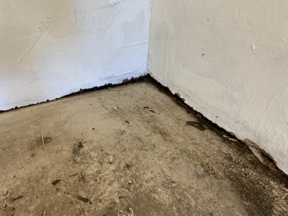 basement waterproofing problems